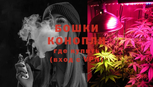 винт Армянск