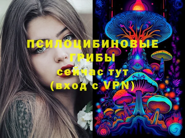 марки nbome Дмитриев