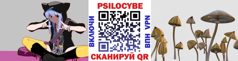 продажа наркотиков  Боготол  Галлюциногенные грибы Psilocybe 